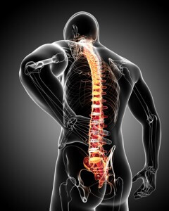 Spine Pain